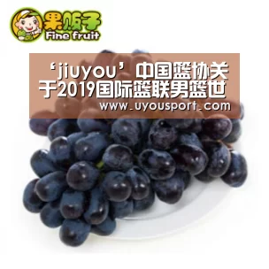 九游娱乐官方网站
