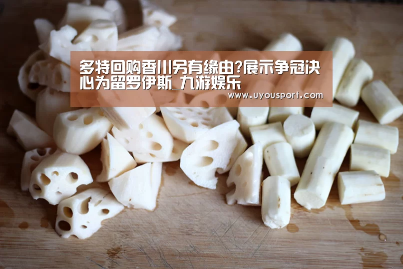 九游娱乐